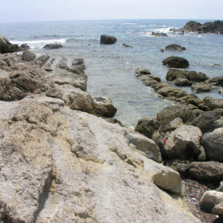 DSCN2644